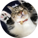 レオプリン profile picture